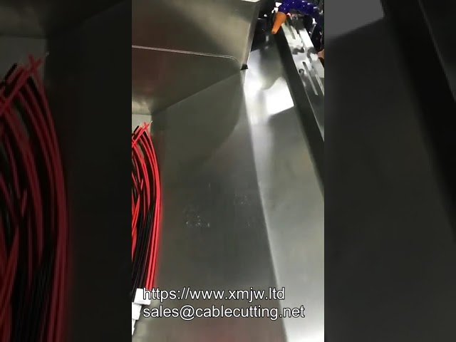 Mesin Crimping Otomatis Kepala Tunggal untuk Shell Plug Ujung – Presisi Tinggi untuk Produksi Pabrik